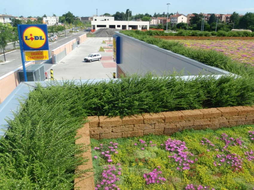 Poliflor Completa Pensile Lidl Faenza 1